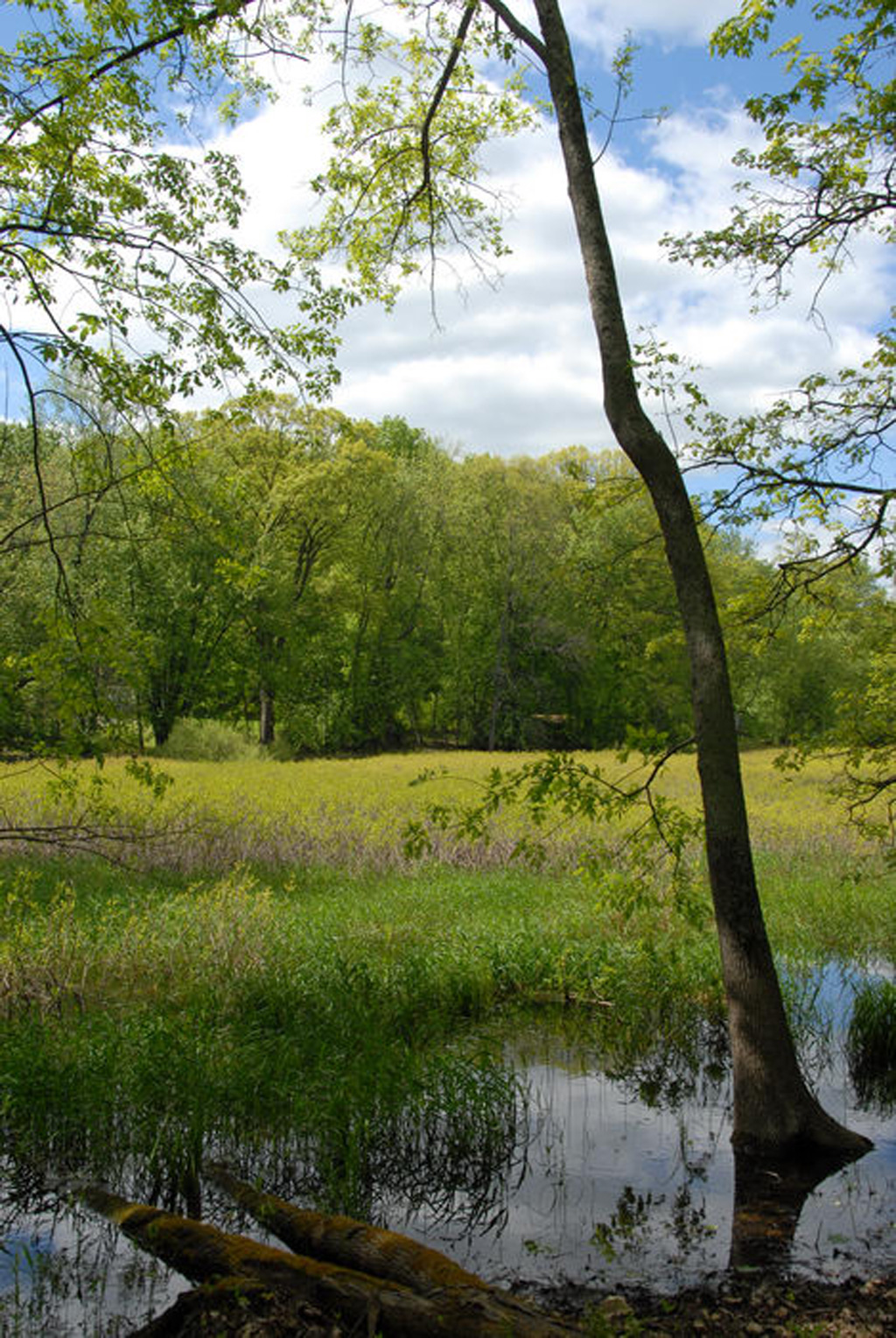 Sussex County NJ Campground, RV Camping NJ, Tent Camp Sites, Pet Friendly Campgrounds NJ, Sussex